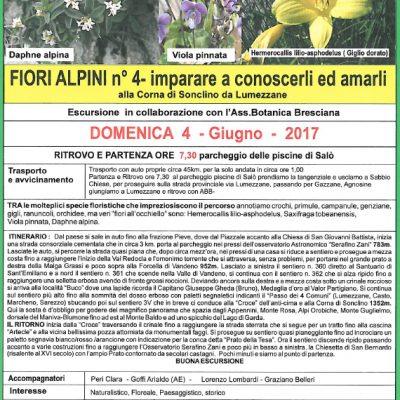 FIORI ALPINI 4 giugno