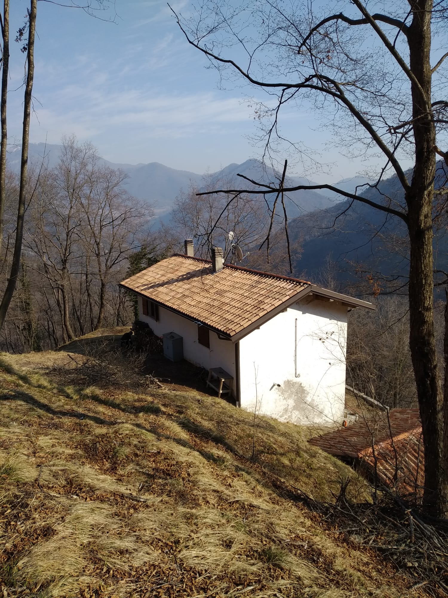 WhatsApp Image 2022-03-17 at 12.48.58 (1)