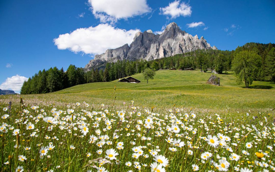 Trekking di 4 giorni alle Pale di San Martino, in Trentino.